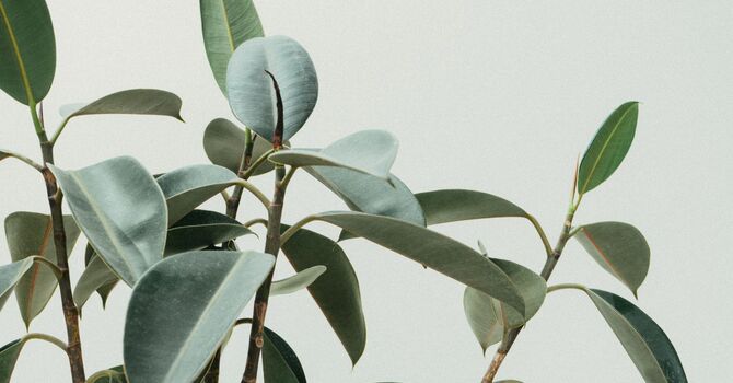 Perimenopause: When You Just Don’t Feel Like Yourself image